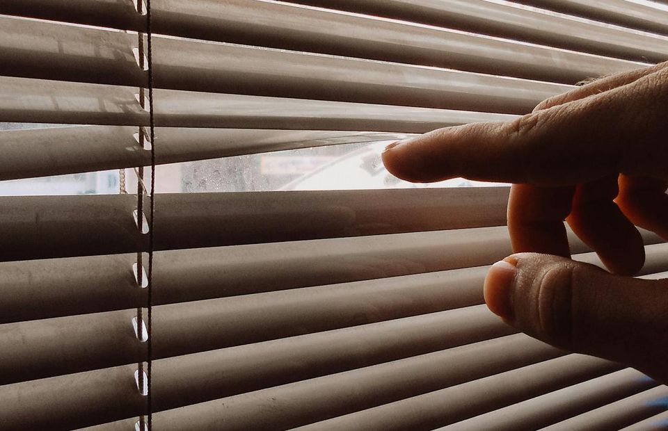 Ламели для жалюзи: какие выбрать и как ухаживать